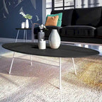 Oval Coffee Table – Natural Wood / Black / Walnut / White, Mid-Century Modern, Steel Base