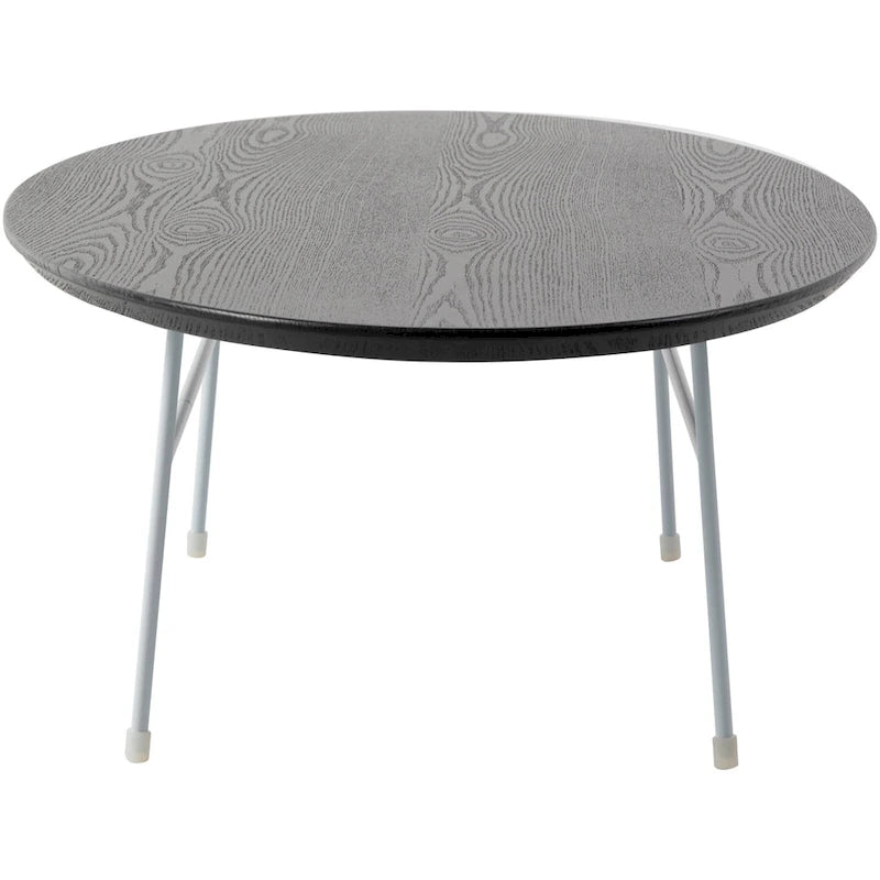 Oval Coffee Table – Natural Wood / Black / Walnut / White, Mid-Century Modern, Steel Base