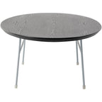 Oval Coffee Table – Natural Wood / Black / Walnut / White, Mid-Century Modern, Steel Base