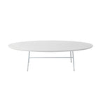 Oval Coffee Table – Natural Wood / Black / Walnut / White, Mid-Century Modern, Steel Base