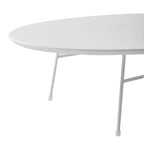 Oval Coffee Table – Natural Wood / Black / Walnut / White, Mid-Century Modern, Steel Base